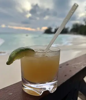 Bajan rum sour