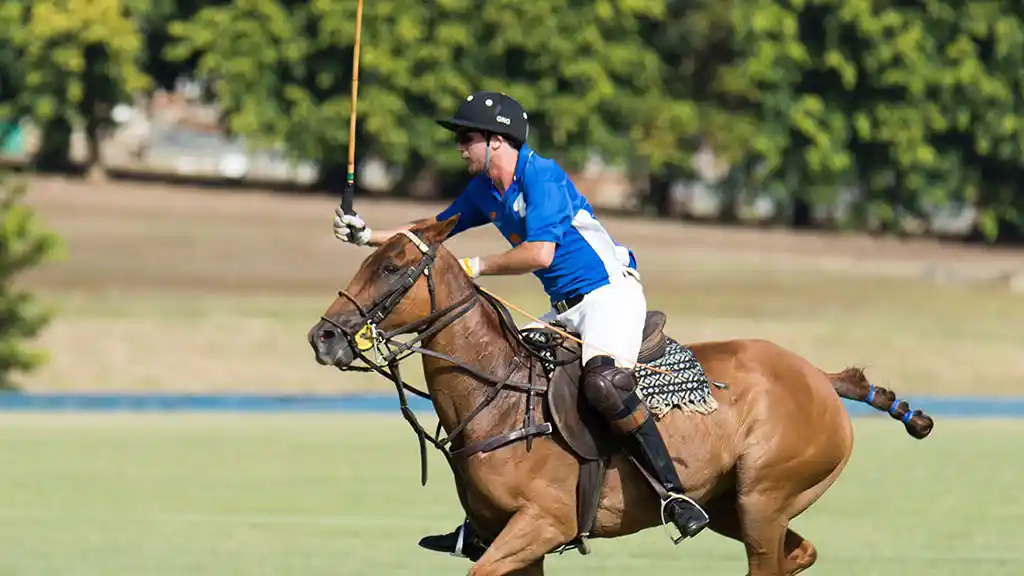 Barbados Tourism Marketing - polo
