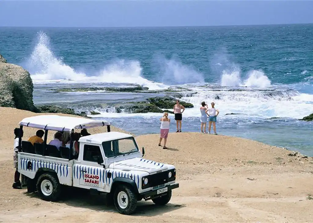 Island Safari Tours